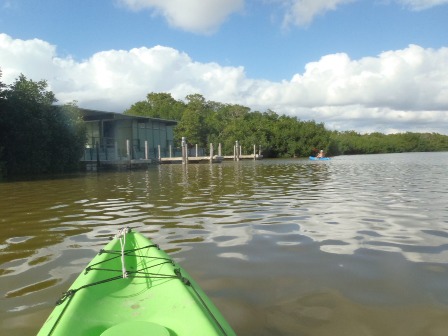 paddling Everglades, West Lake, kayak, canoe