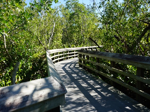 paddling Everglades, West Lake, kayak, canoe