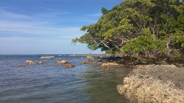 paddling Bahia Honda, Florida Keys, kayak, canoe