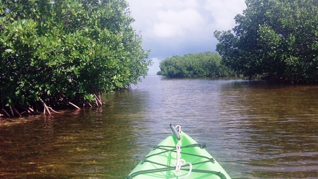 paddling Bahia Honda, Florida Keys, kayak, canoe