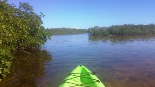 paddling Long Key State Park, Florida Keys, kayak, canoe