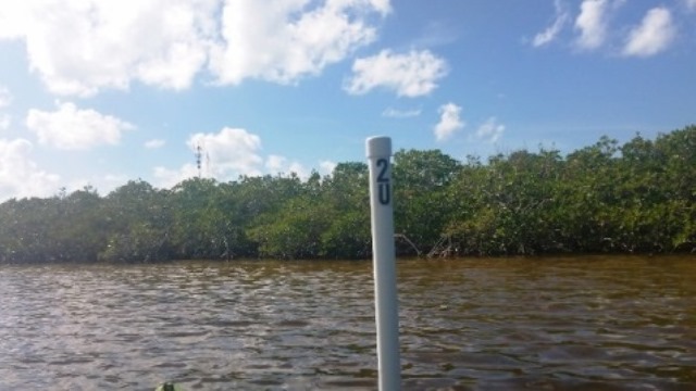 paddling Long Key State Park, Florida Keys, kayak, canoe