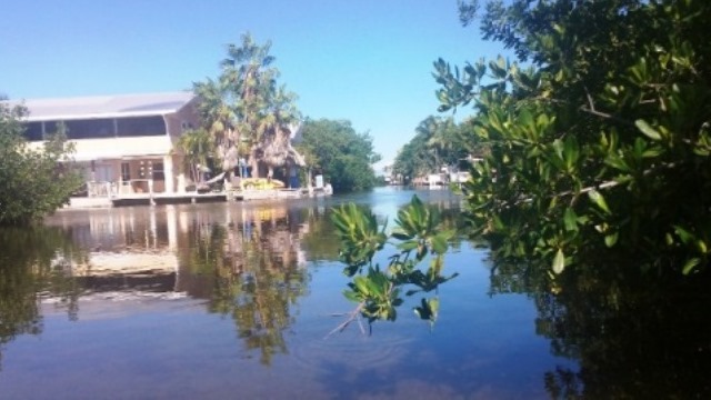 paddling Long Key State Park, Florida Keys, kayak, canoe