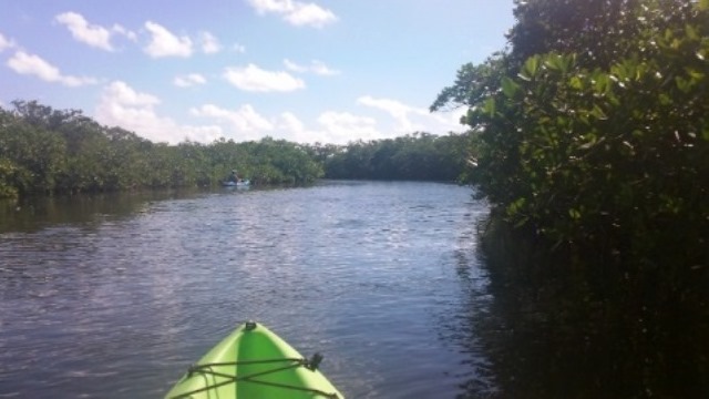 paddling Long Key State Park, Florida Keys, kayak, canoe