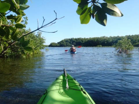 paddle Pennekamp Coral Reef State Park, Florida Keys, kayak, canoe