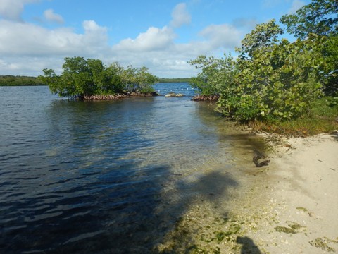 paddling Pennekamp State Park, Florida Keys, kayak, canoe