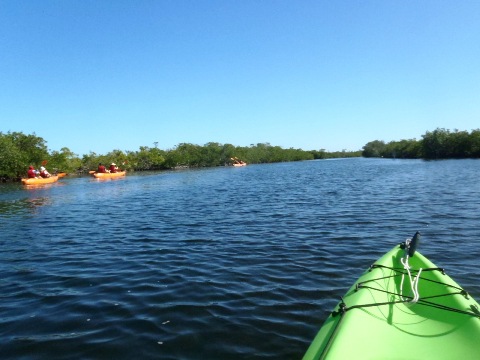 paddling Pennekamp State Park, Florida Keys, kayak, canoe