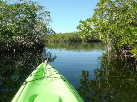 paddling Pennekamp State Park, Florida Keys, kayak, canoe