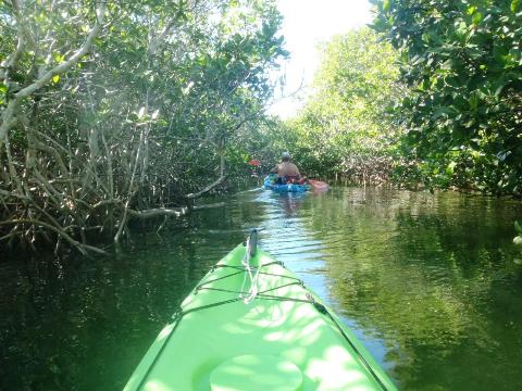 paddling Pennekamp State Park, Florida Keys, kayak, canoe