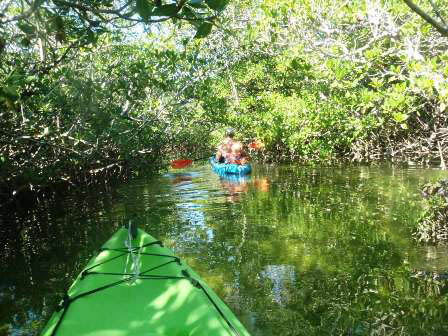 paddling Pennekamp State Park, Florida Keys, kayak, canoe