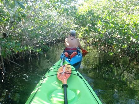 paddling Pennekamp State Park, Florida Keys, kayak, canoe