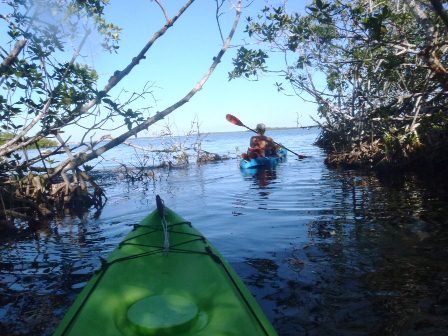 paddling Pennekamp State Park, Florida Keys, kayak, canoe