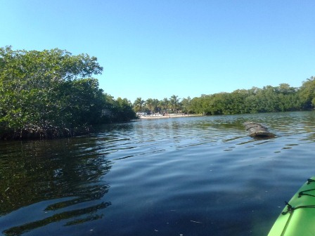 paddling Pennekamp State Park, Florida Keys, kayak, canoe