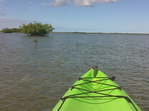 paddle Sugarloaf Key, Florida Keys, kayak, canoe