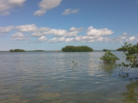 paddling Sugarloaf Key, Florida Keys, kayak, canoe