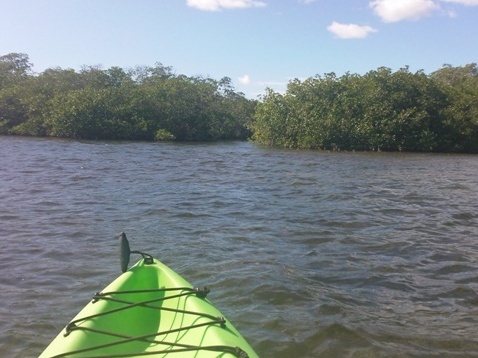 paddling Sugarloaf Key, Florida Keys, kayak, canoe