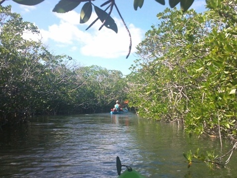 paddling Sugarloaf Key, Florida Keys, kayak, canoe