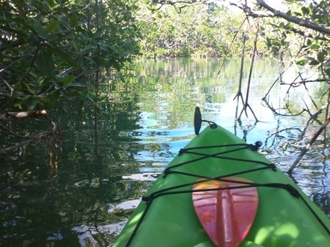 paddling Sugarloaf Key, Florida Keys, kayak, canoe