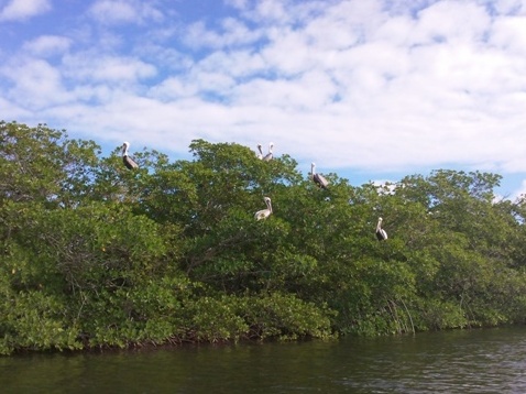 paddling Sugarloaf Key, Florida Keys, kayak, canoe