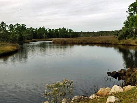 paddling big bend saltwater trail