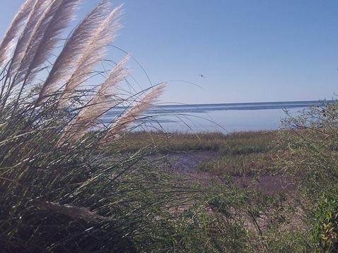 paddling big bend saltwater trail