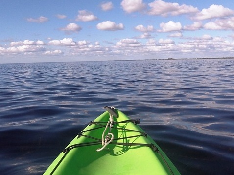 paddling big bend saltwater trail