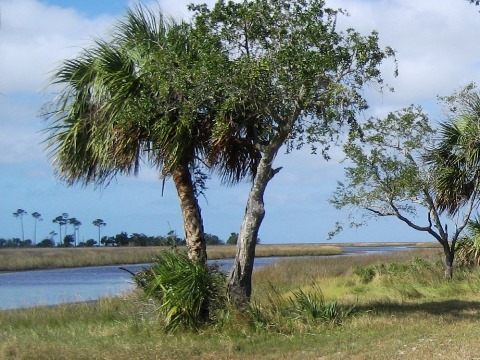 paddling big bend saltwater trail