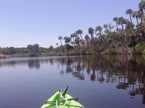 paddle Bulow Creek, kayak, canoe