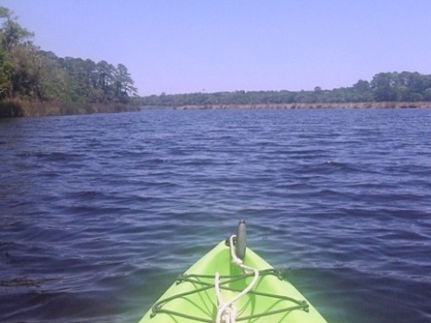 paddling Bulow Creek, kayak, canoe