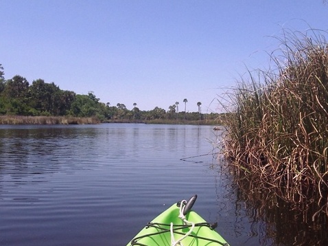 paddling Bulow Creek, kayak, canoe