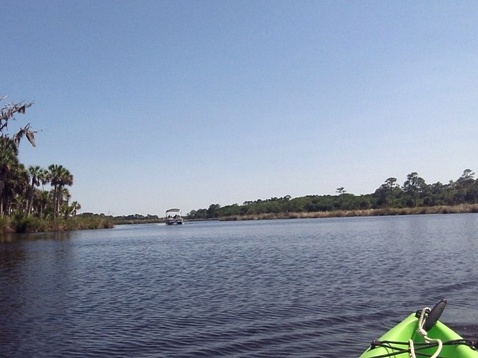 paddling Bulow Creek, kayak, canoe