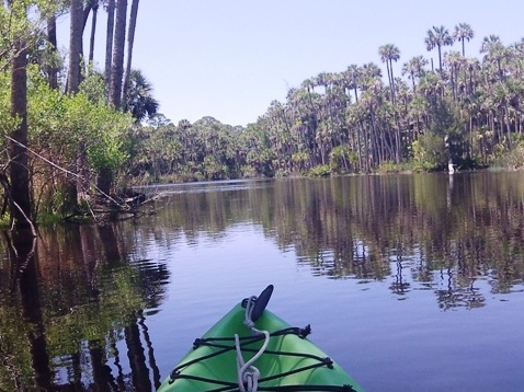 paddling Bulow Creek, kayak, canoe