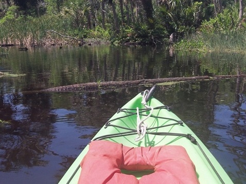 paddling Bulow Creek, kayak, canoe