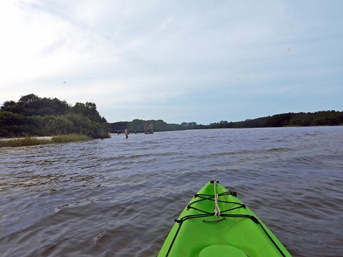 paddling Cedar Key, kayak, canoe