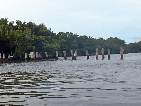 paddling Cedar Key, kayak, canoe