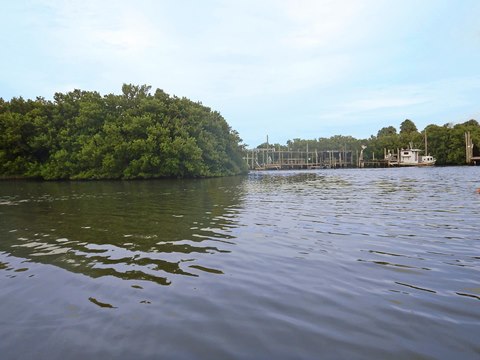 paddling Cedar Key, kayak, canoe