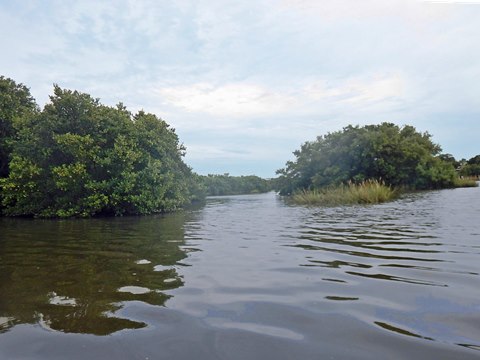 paddling Cedar Key, kayak, canoe