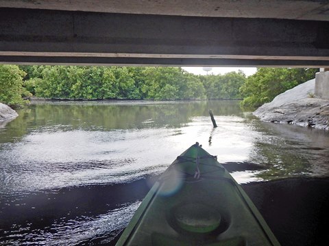 paddling Cedar Key, kayak, canoe