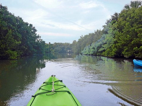 paddling Cedar Key, kayak, canoe