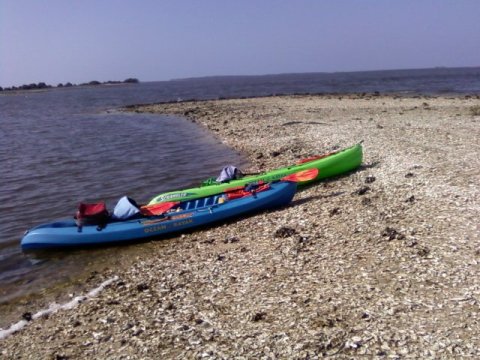 paddling Cedar Key, kayak, canoe