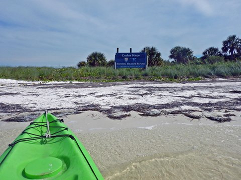 paddling Cedar Key, kayak, canoe