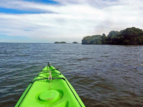 paddling Cedar Key, kayak, canoe