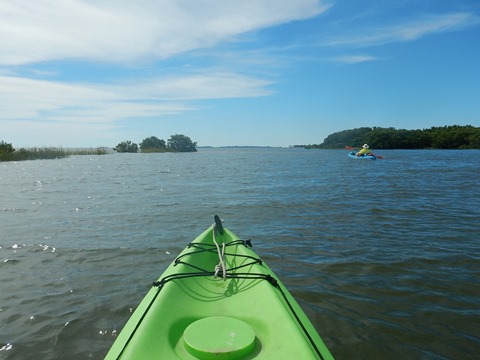 paddling Cedar Key, kayak, canoe, Atsena Otie