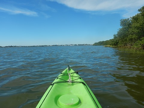 paddling Cedar Key, kayak, canoe, Atsena Otie