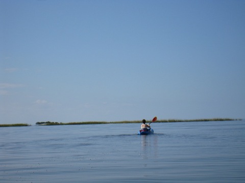 paddling Cedar Key, kayak, canoe