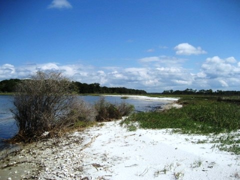 paddling Cedar Key, kayak, canoe