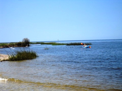 paddling Cedar Key, kayak, canoe