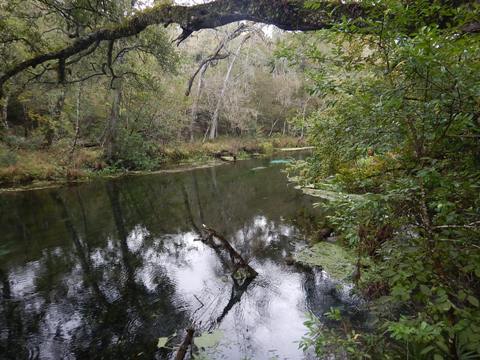 paddle Ichetucknee River, kayak, canoe