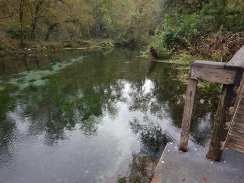 paddling Ichetucknee River, kayak, canoe