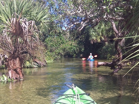 paddle Juniper Springs Run, kayak, canoe